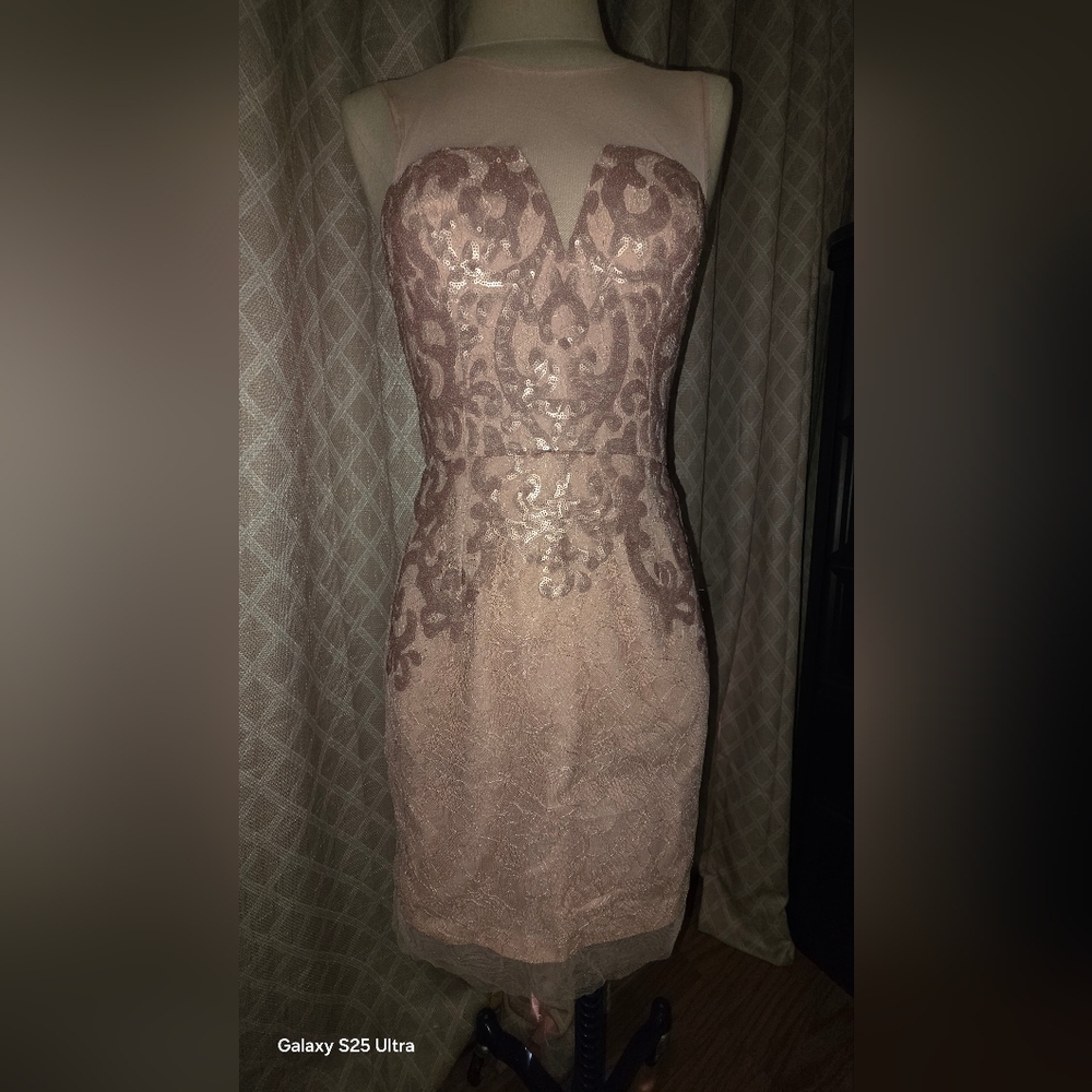 BCBGMaxAzria Lace Midi Dress in Blush